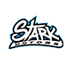 Client : Stark motors