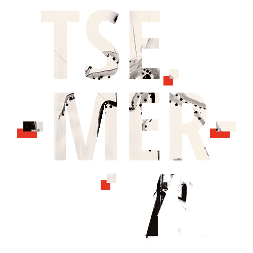 logo tsemerys blanc