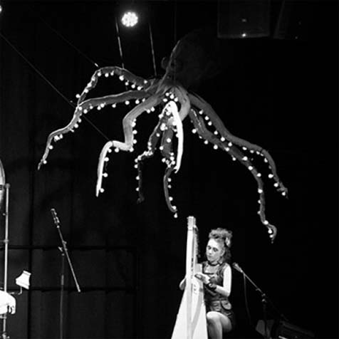 pieuvre du logo tsemerys